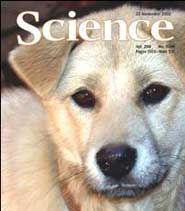 Science of dogs